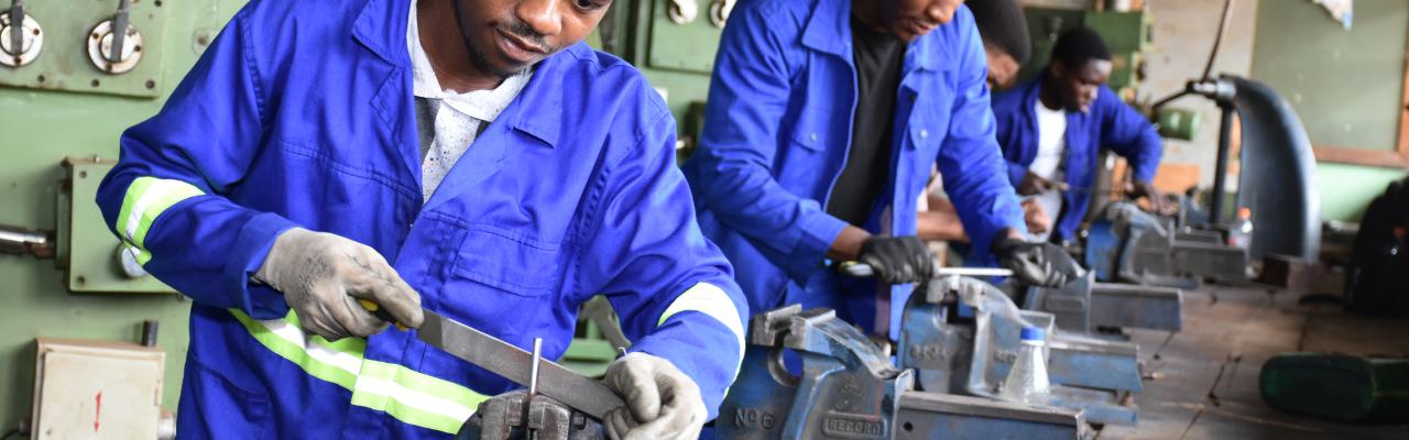 Malawi TEVET Assessment