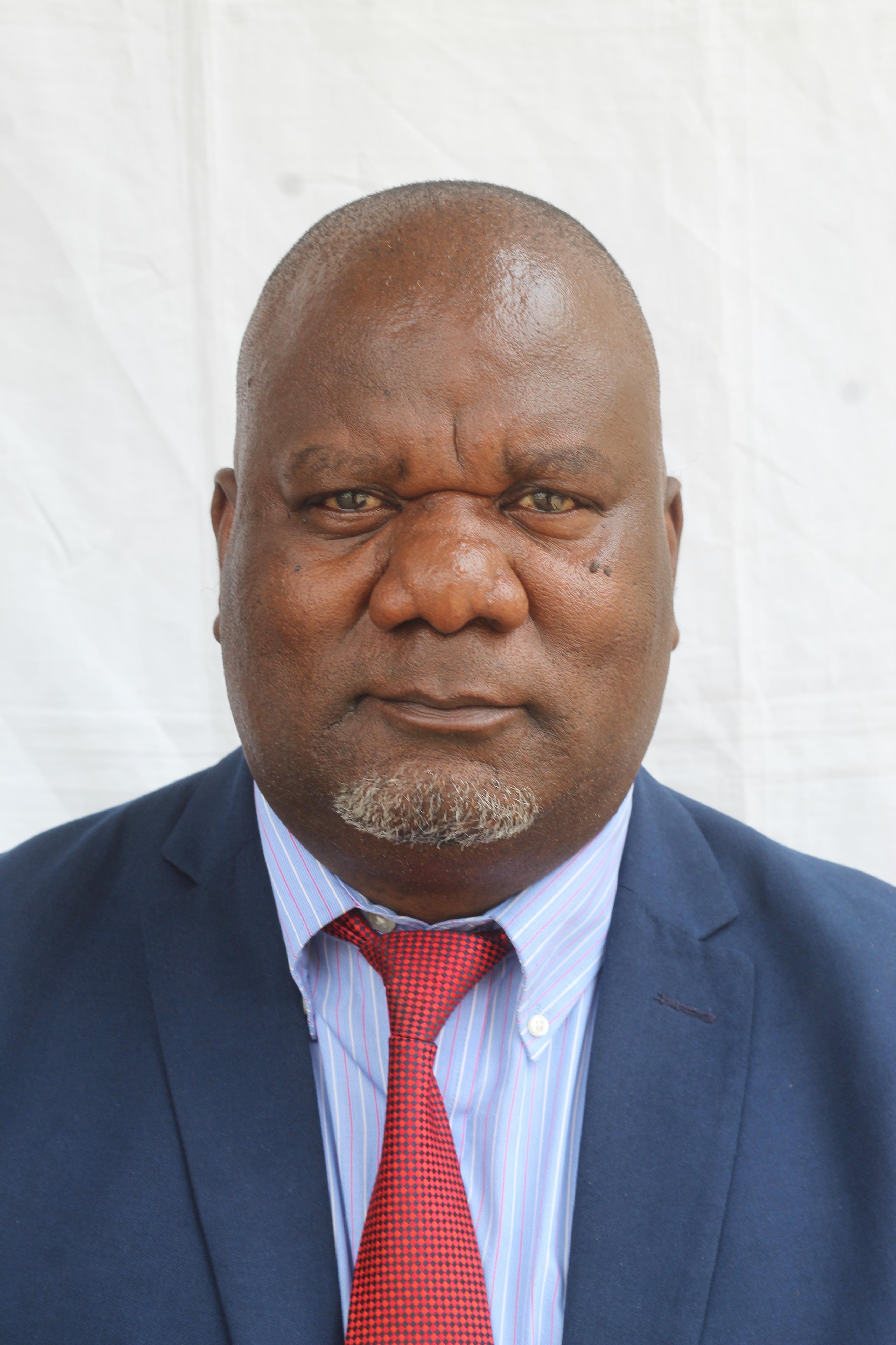 Mr. Christopher Mchenga